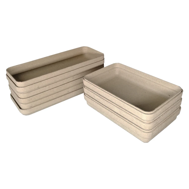 Paper Pulp Packaging Molding Moulded Recycled Mould Biodegradable Trays Food Box