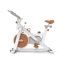 SD-S79 Under 100 dollar indoor exercise equipment fitness gym spinning bike with 8kg flywheel