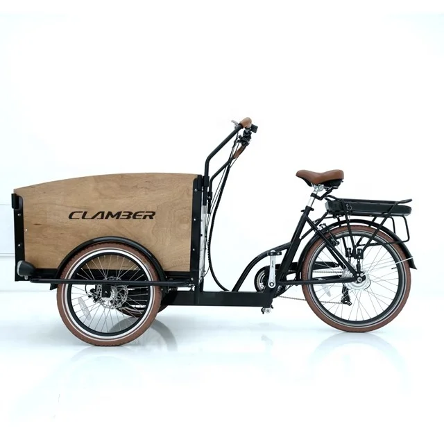 3 wheels hot sale electric cargo tricycle family e- bike factory directly