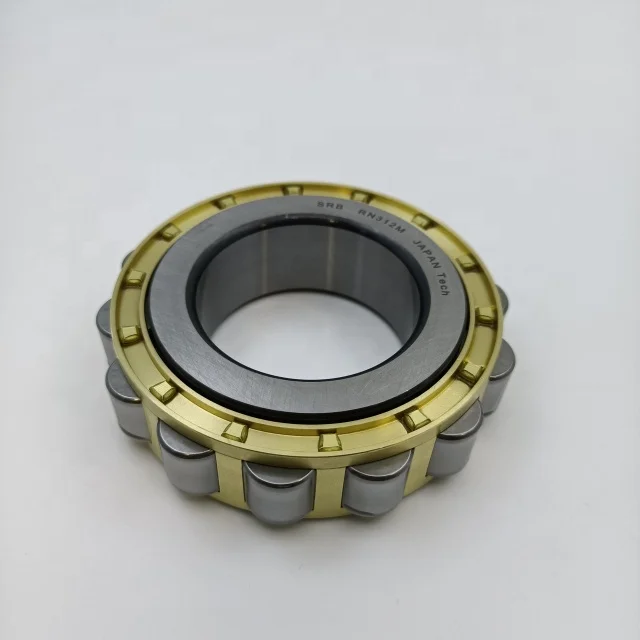 eccentric roller bearing RN312 M RN312 cylindrical roller bearing