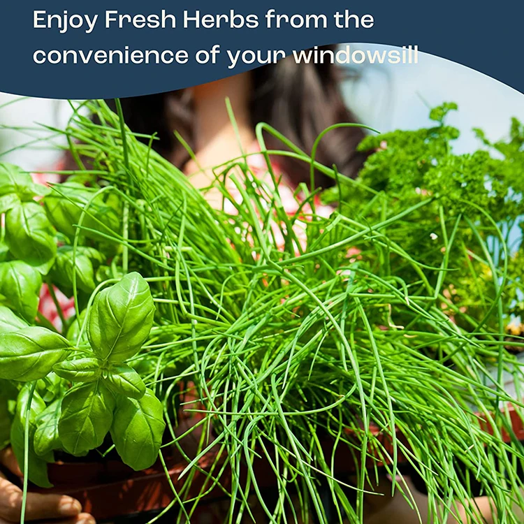 2023  growing sprouting jar starter pot ear flower  grow kit nesting fruits scooper avocado  remover