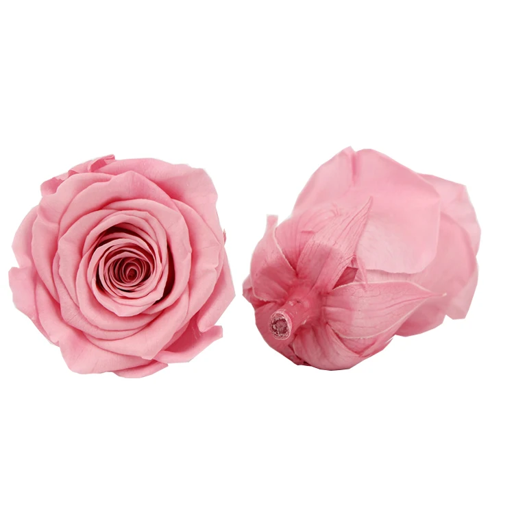 Ecuador infinity long lasting eternal  5-6cm Rose preserved roses Heads