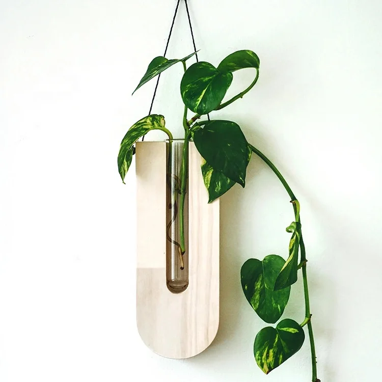 Light Weight Different Colours Handmade Decor Wooden Wall Hanging Plant Lovers Art Luxury Wall Decorations For Home