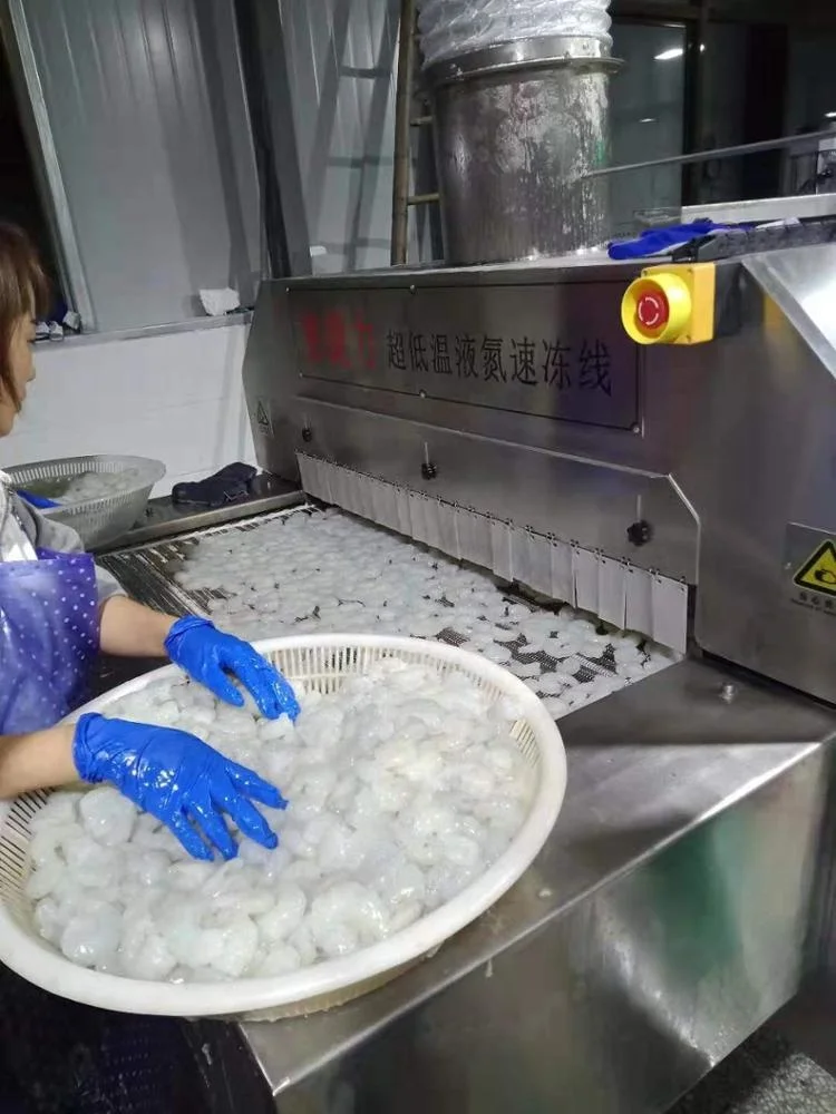 DJL china made liquid nitrogen tunnel shock freezer Food Processing Machine Stainless Steel Belt IQF Tunnel Freezer