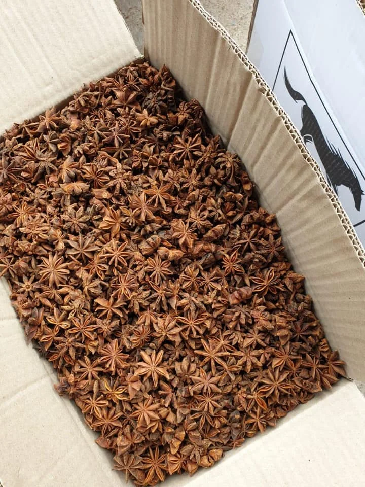 BROKEN STAR ANSIE CHEAP PRICE FOR GRINDING PURPOSE STAR ANISEED BROKEN STAR ANISE CHIPS