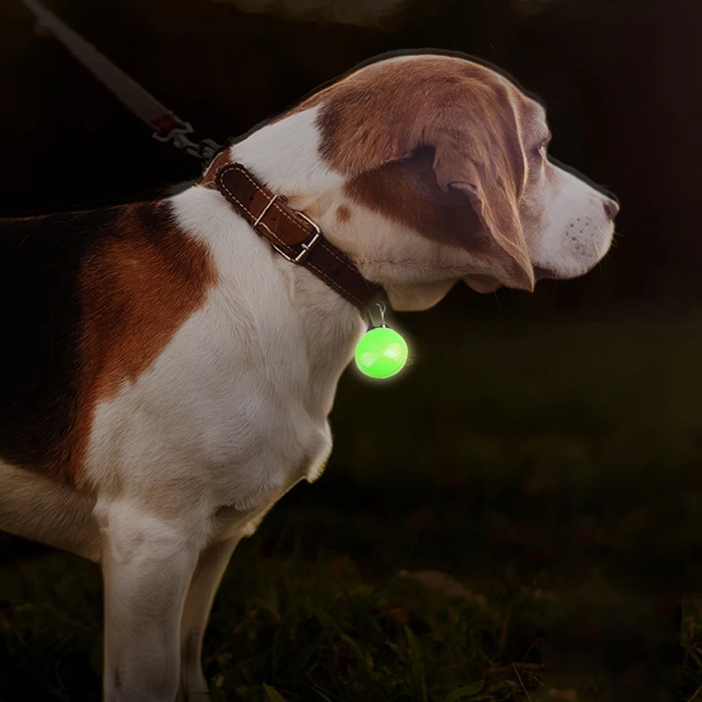 Outdoor Walking Safety Glowing Neck Collar Night Reflective Bling Clip Dog Led Collar Outdoor Tag Pet