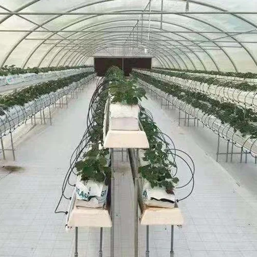 Factory direct selling low-cost multi span agricultural greenhouse +agricultural film