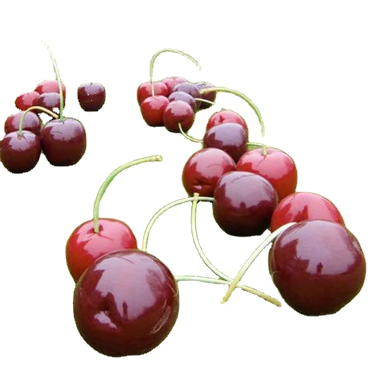 Custom Park Garden Grass Decoration Red Resin Cherry Statue