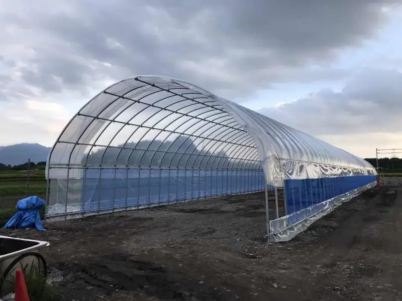 Factory customized popular tunnel greenhouse for sale  promotional walk in price film green house