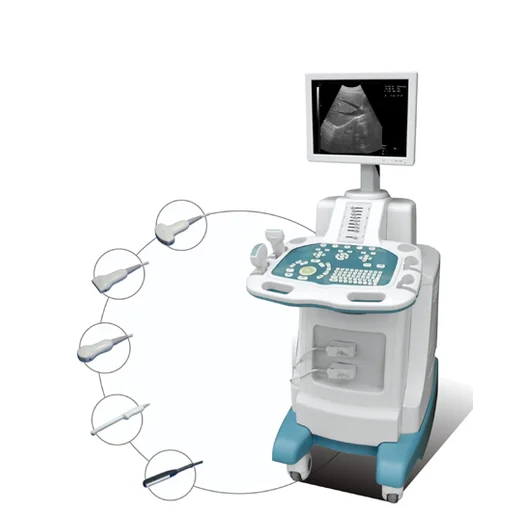 Hospital handcart wheel / Trolley LCD Display Ultrasound Scanner AJ-6100F