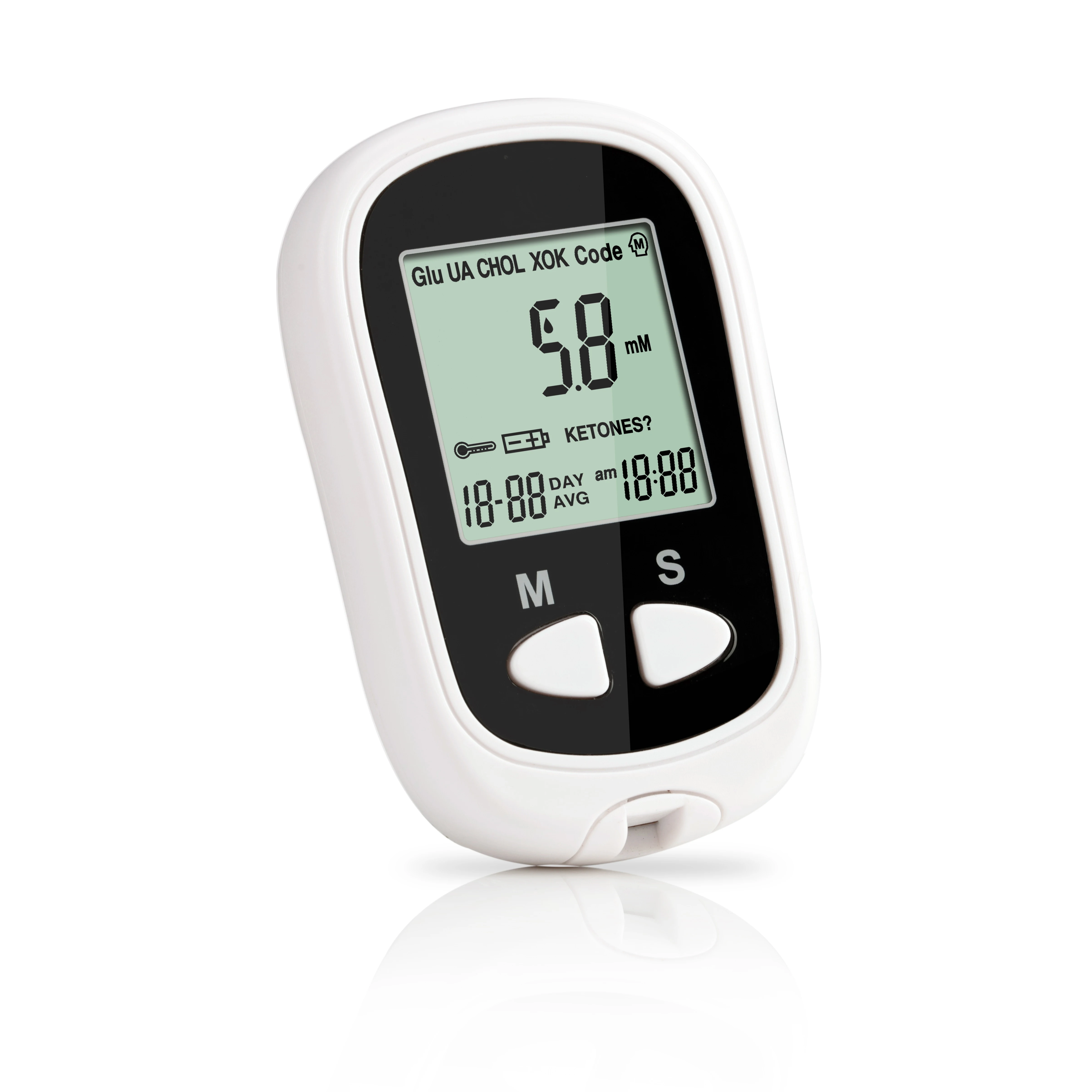 Display screen blood glucose monitor with blood glucose test strip