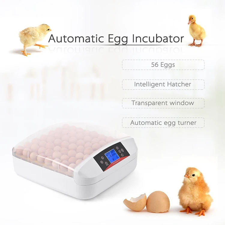 High hatching rate LED light yz 56s mini chicken egg incubator automatic