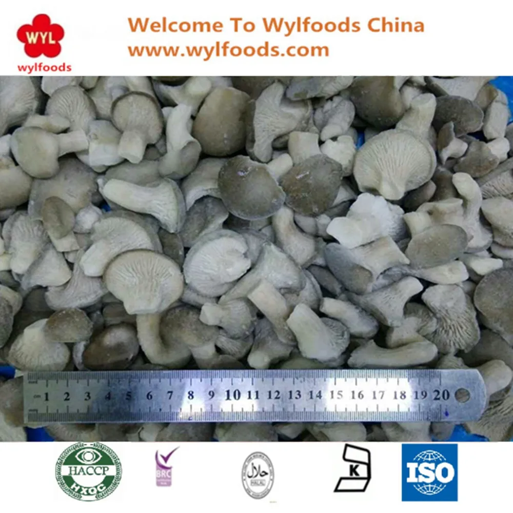 IQF Frozen Baby Oyster Mushrooms Premium Quality Edible Fungi for Culinary Use
