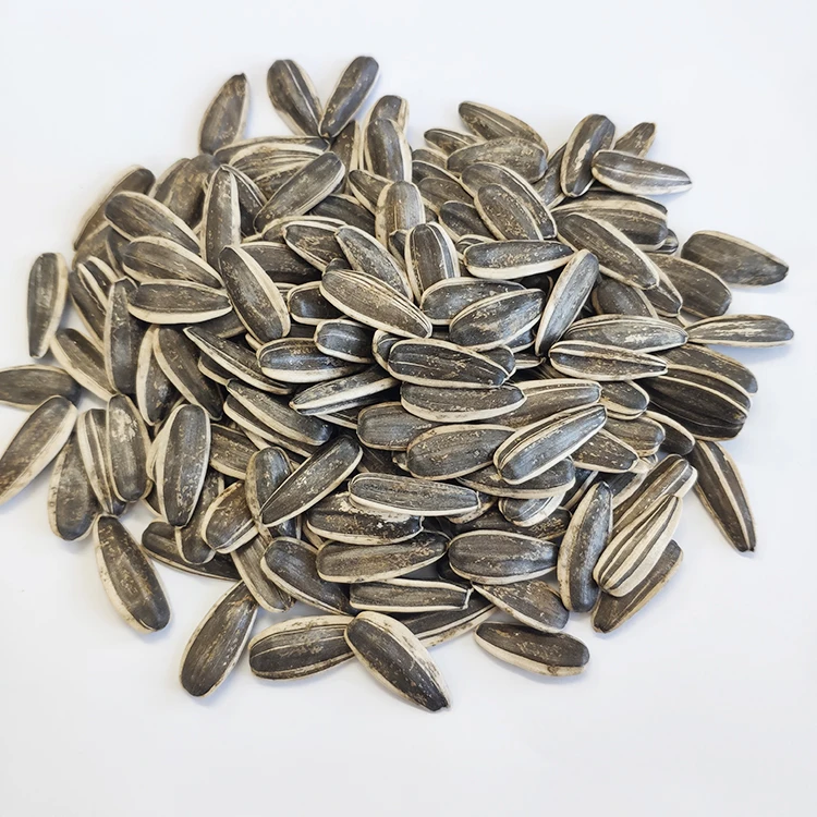 Crop sunflower seed 5009 market price for sale with export sunflower seeds