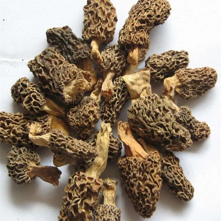 Dried Mushrooms  morille Wild Morel Mushroom black Morchella