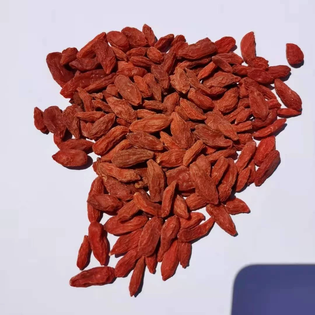 Organic Goji Berry Dried Red Wolfberry Matrimony Vine Lycium chinense Mill sun dried bulk in stock