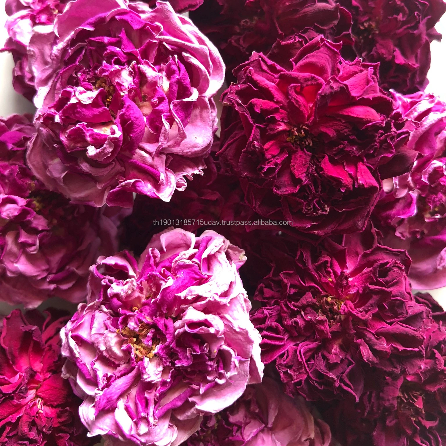 High Quality Premium Organic Rose Petal Tea From Thailand Beauty Health Care Product Dried Flowers