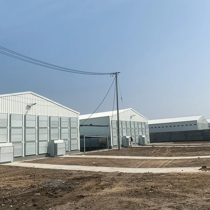 Современная Стальная конструкция по низкой цене сборный домик для птицеводства сборки