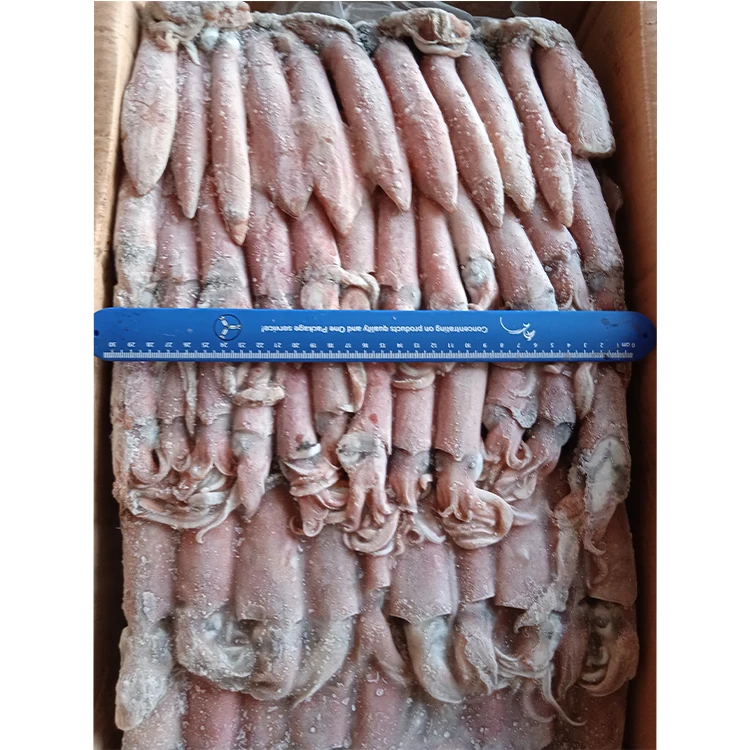 Новое поступление оптовая продажа морепродуктов SANFENG кальмары Замороженные Кальмары Loligo для