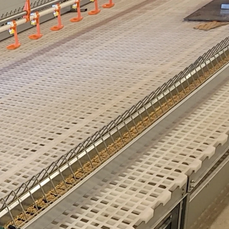 Chicken broiler poultry farm equipment chicken floor plastic slate flooring