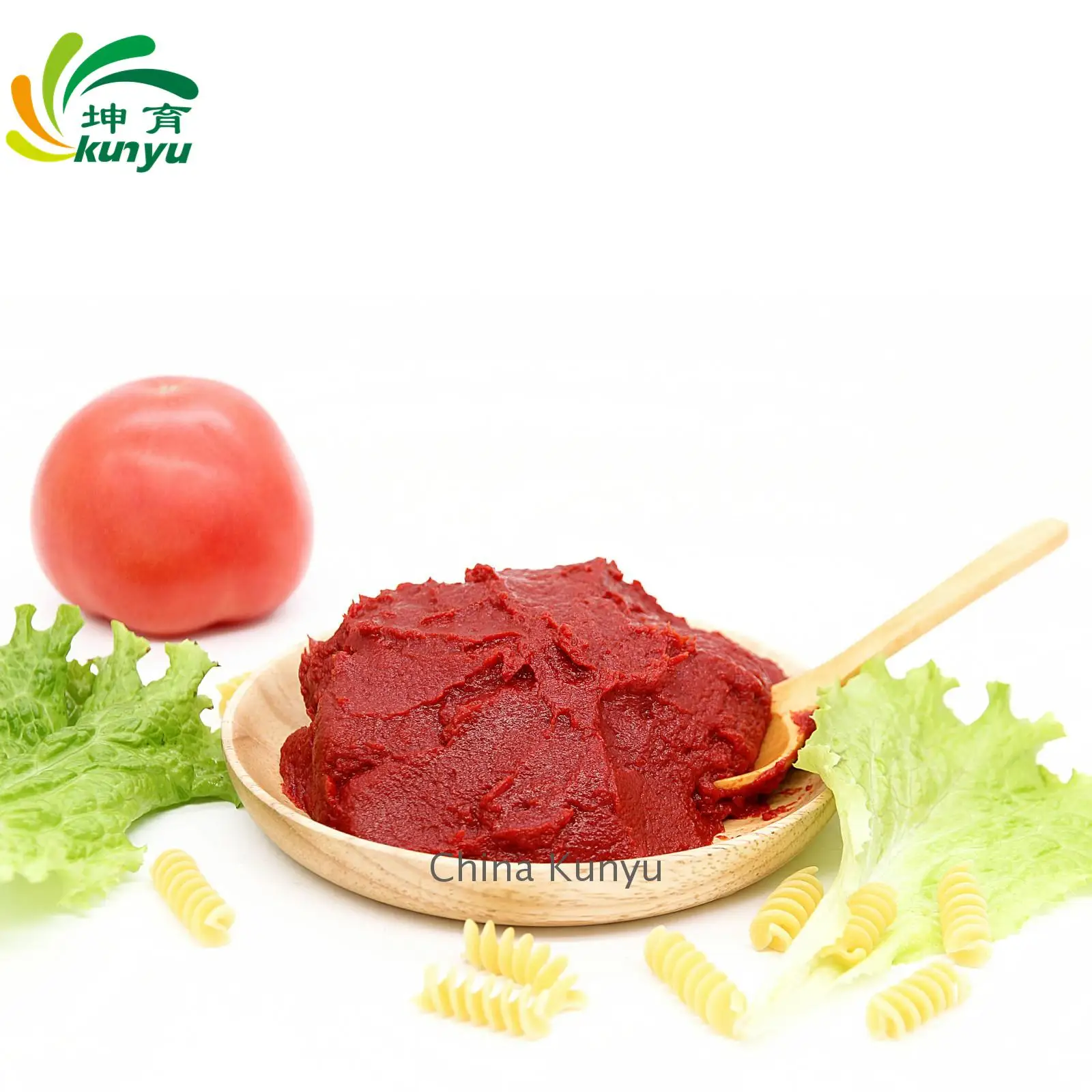 Best Quality All size canned tomato paste tinned tomato paste in easy open canned