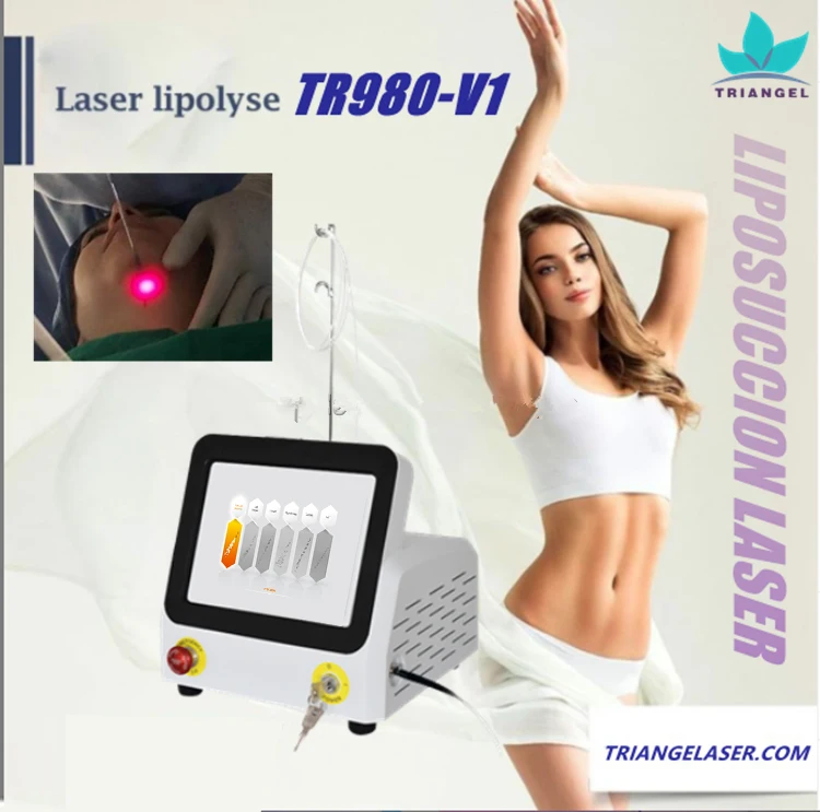 Portable Lipolysis Laser Aesthetic Plastic Laser For Lipolysis And Skin Tightening