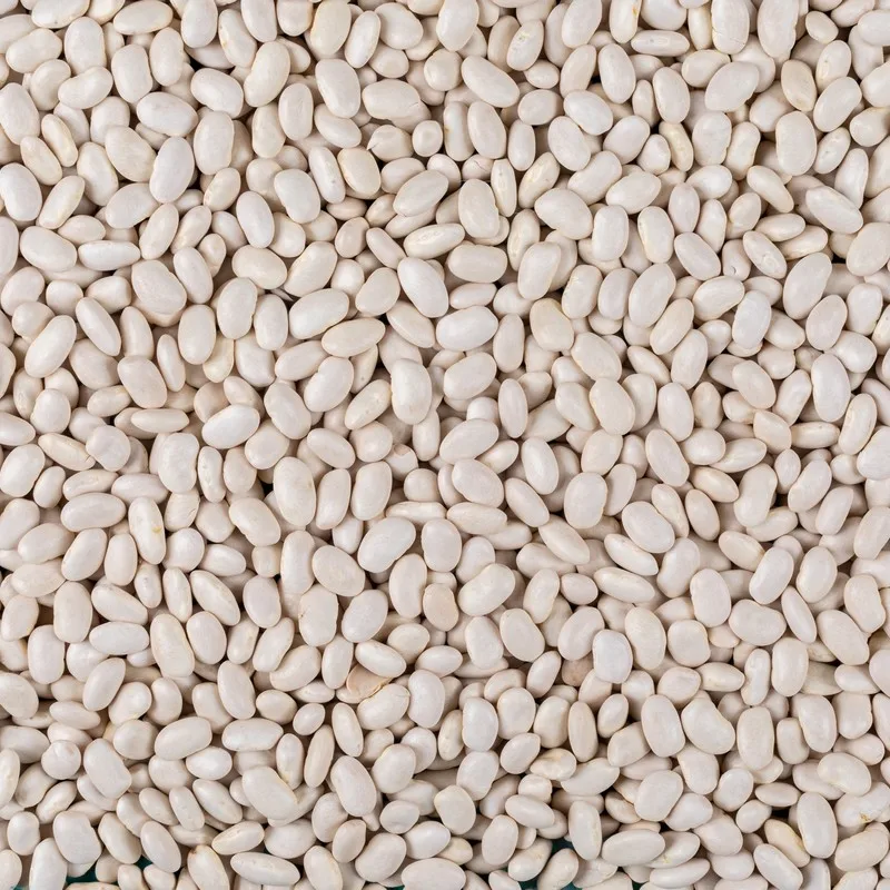 Высококачественные запеченные бобы La Doria Сделано в Италии легко открывающиеся банки 6x2 5 кг не сертифицированы OGM готовы для экспорта