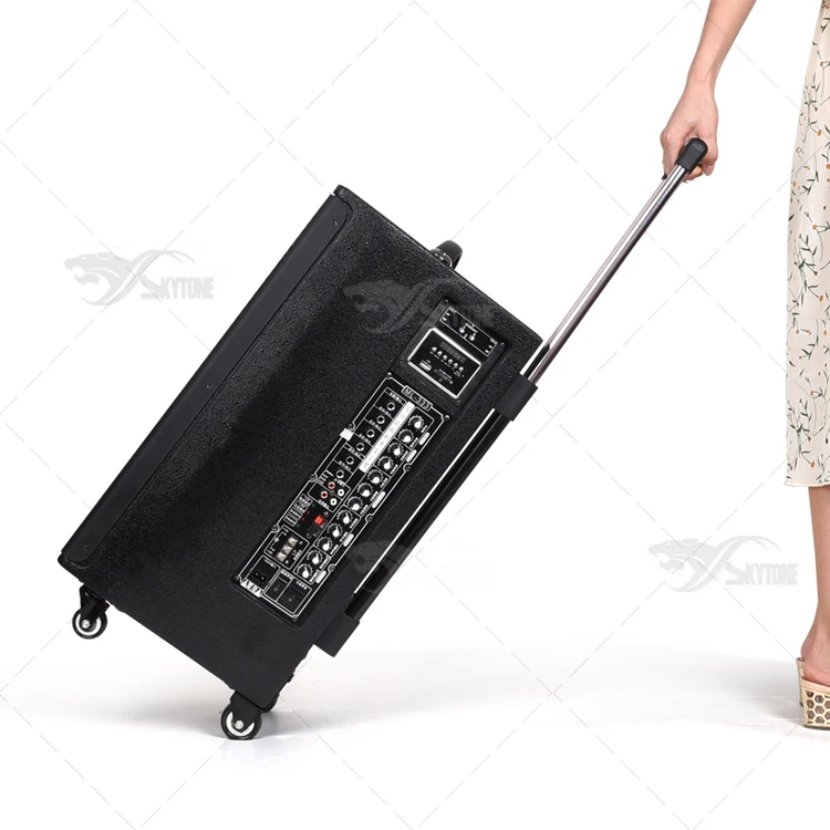 Портативный Перезаряжаемый динамик на колесиках с активными динамиками USB/SD-картой 12 дюймов