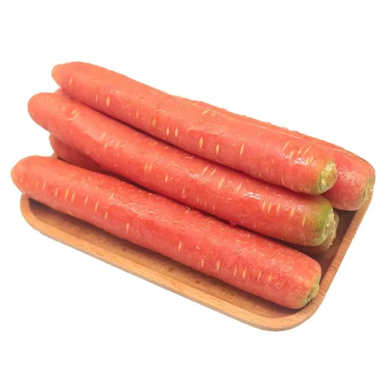 
2020 China Manufacturer Shaanxi New Crop Sweet Juicy Fresh Red Carrot 