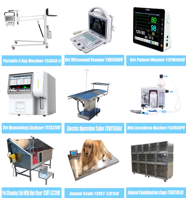 vet recommend products