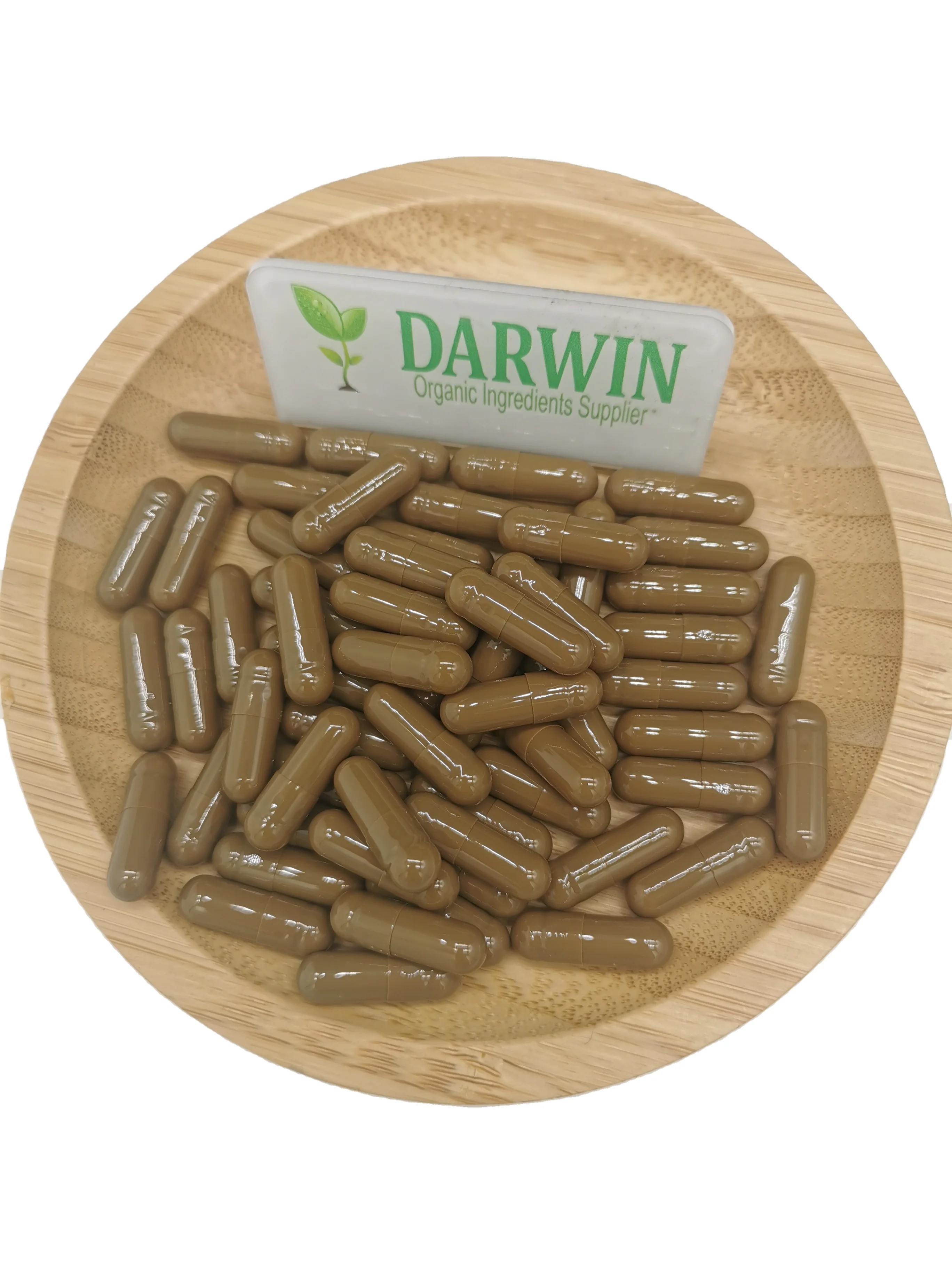 Sales!Natural Dandelion Root Extract powder
