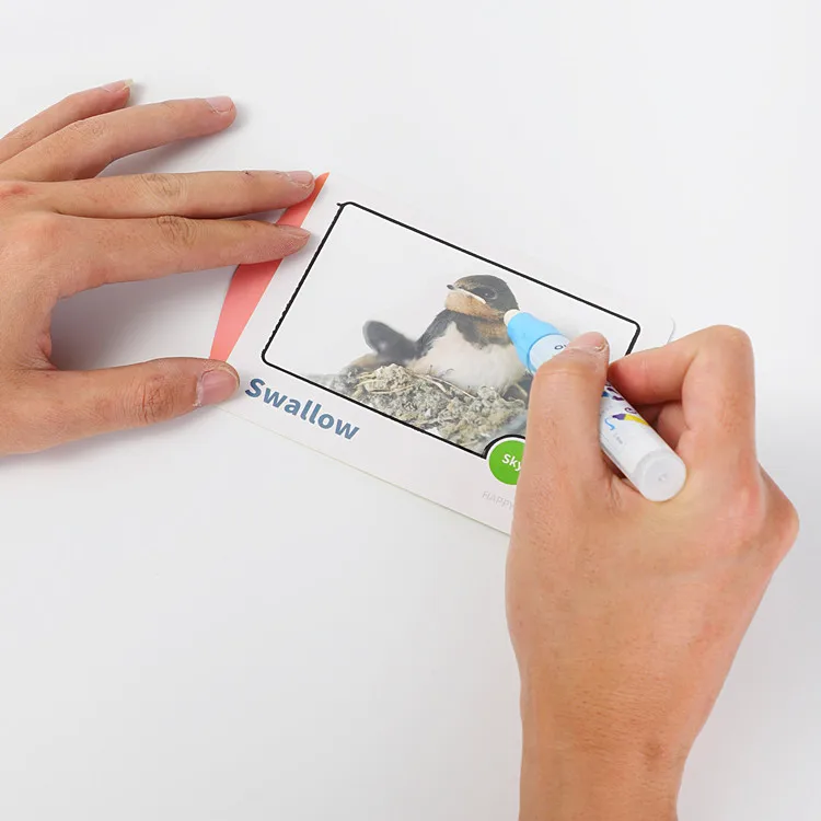 
Indoor games for parent-child activities intelligent toys kid funny toys animal paradise drawing doodle toys 