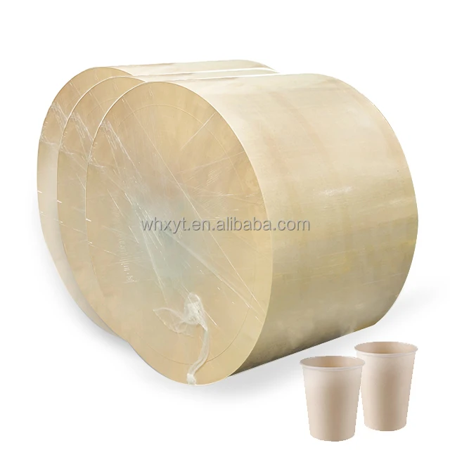 Wholesale 210gsm 260gsm 280gsm 300gsm PE coated bamboo paper cup raw material manufacturer