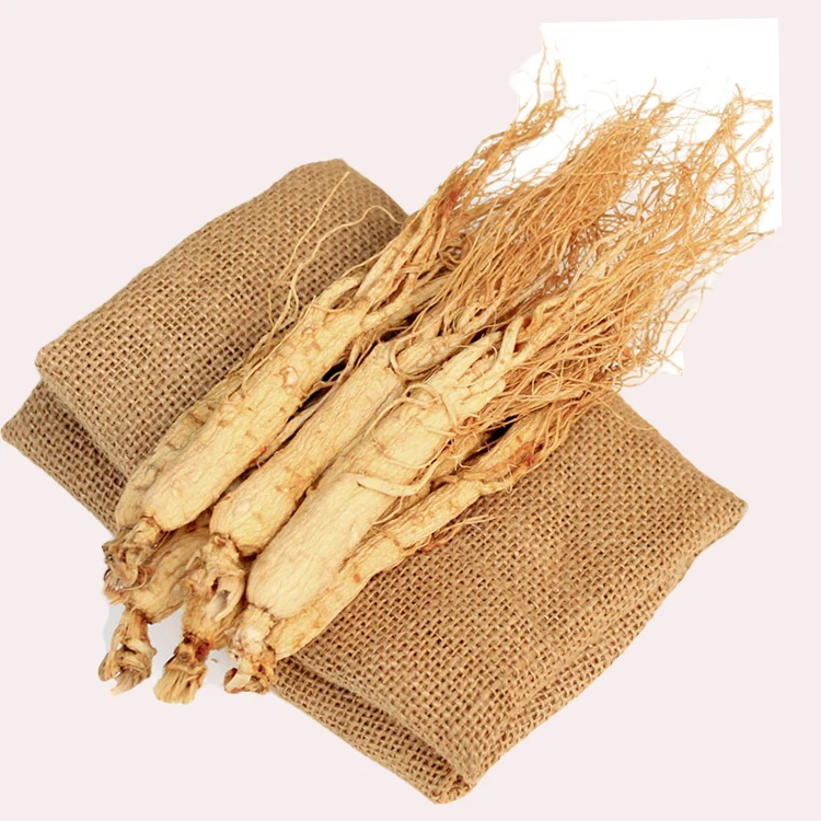 Wholesale Supply Herbs  High Quality Wild Ginseng Root Whole Root