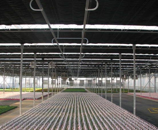 
Commercial greenhouse cost fully blackout film covered greenhouse for herb planting 