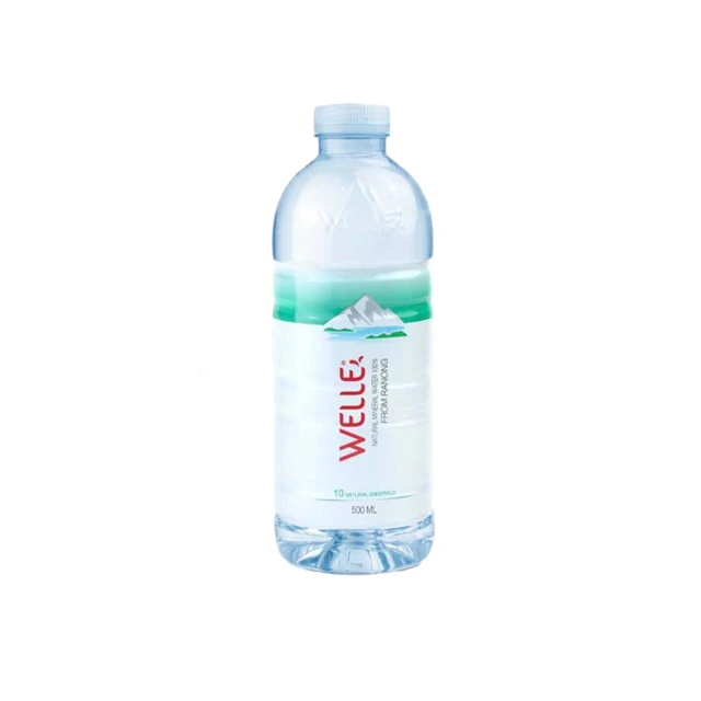 Welle Mineral Water 500 ml. in PET Bottle Premium Drinking Water Refreshing Manufacturers Water Drinking For Exporting