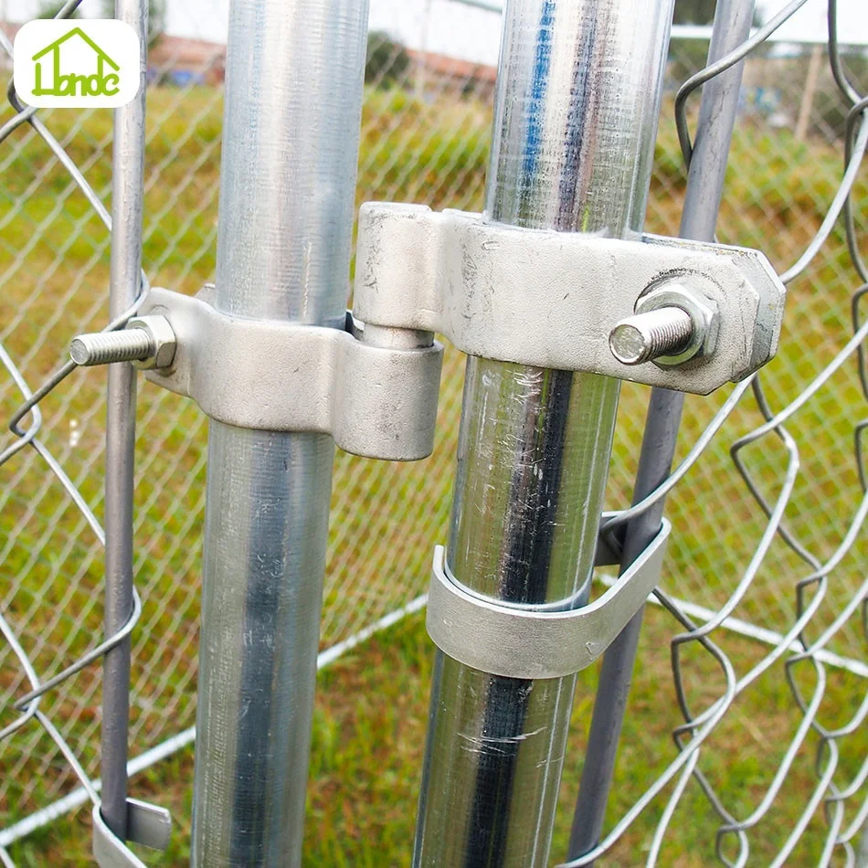 Chain link pet cages mating dogs and women