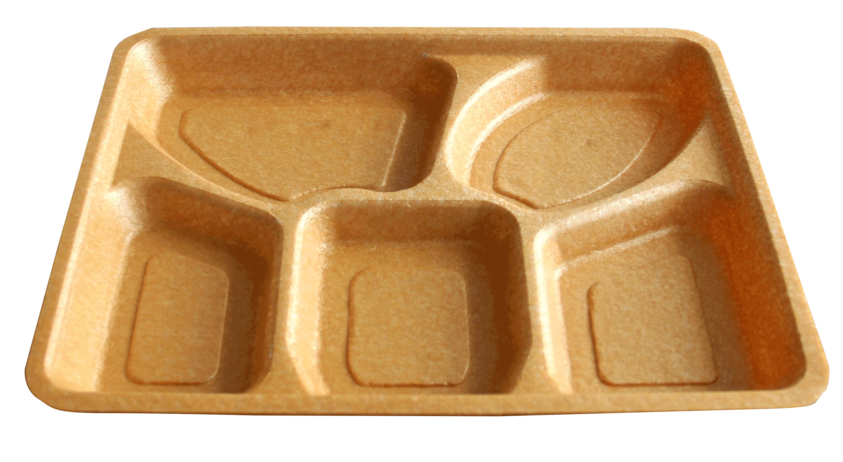 Biodegradable PLA Foaming Sheet Production Line