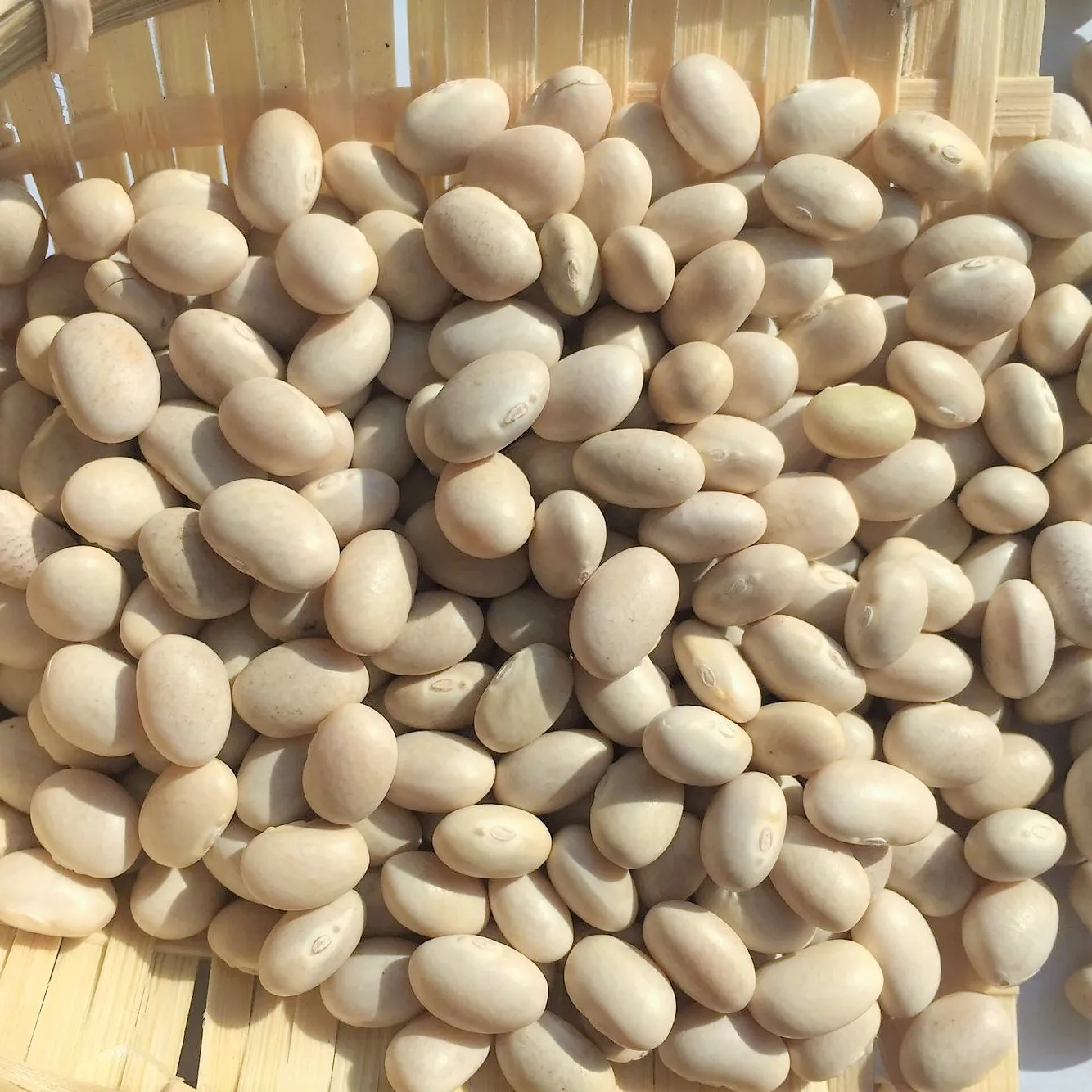 Chinese White Kidney Beans bulk package