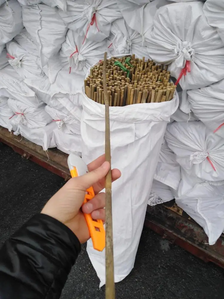 
BAMBOO POLES 120 CM FOR ORNAMENTAL PLANTS 