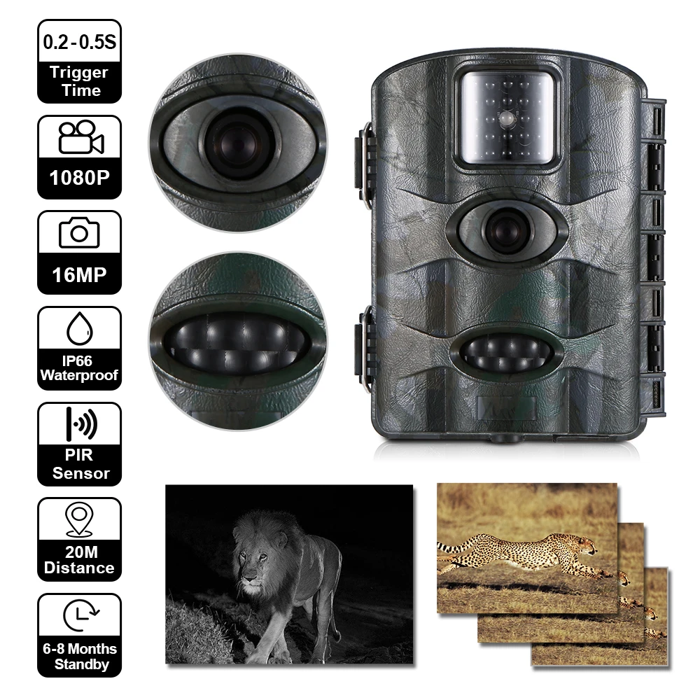 wildlife-trail-camera-7