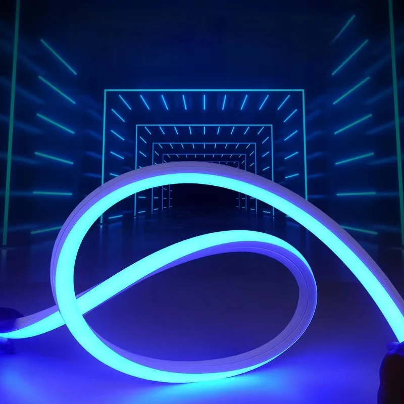 Drop Shipping Custom DC12V SMD 2835 Waterproof Silicon Flexible LED Neon Strip Light for home decor