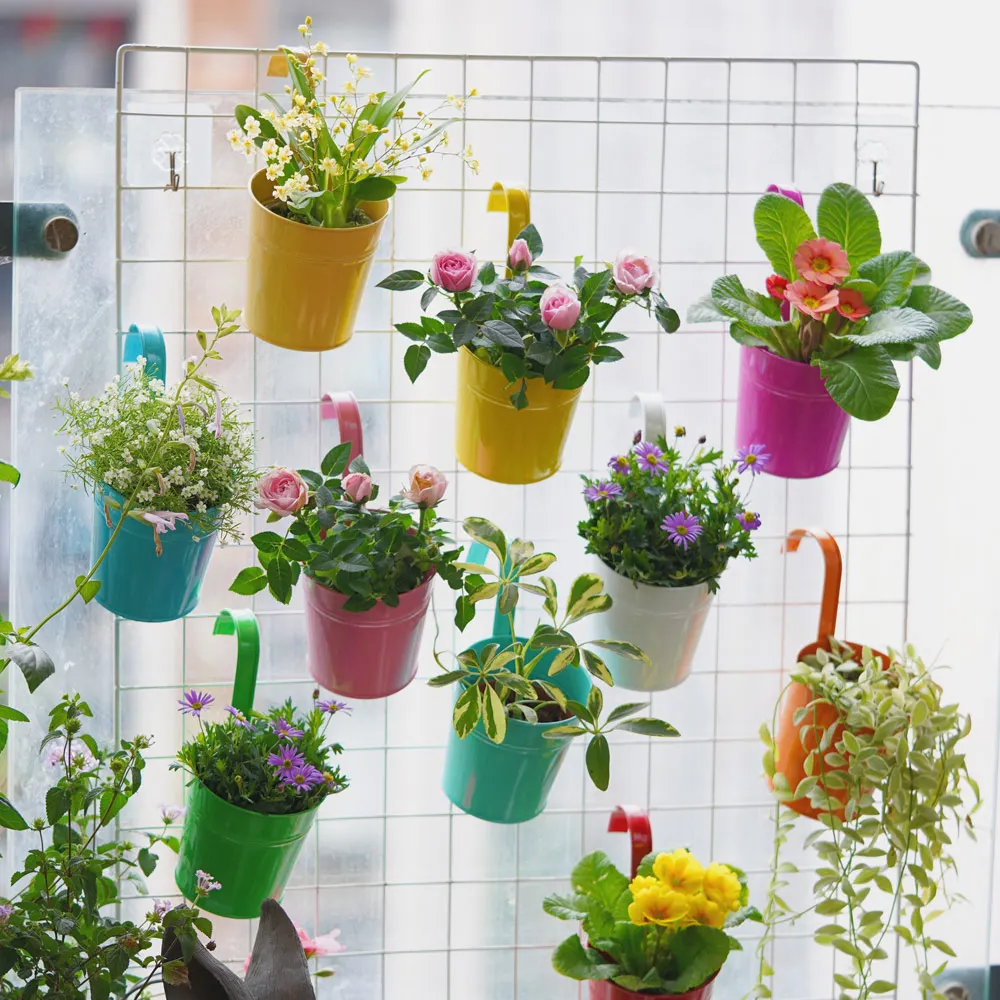 Light color series metal iron small bucket hanging flower pot custom size