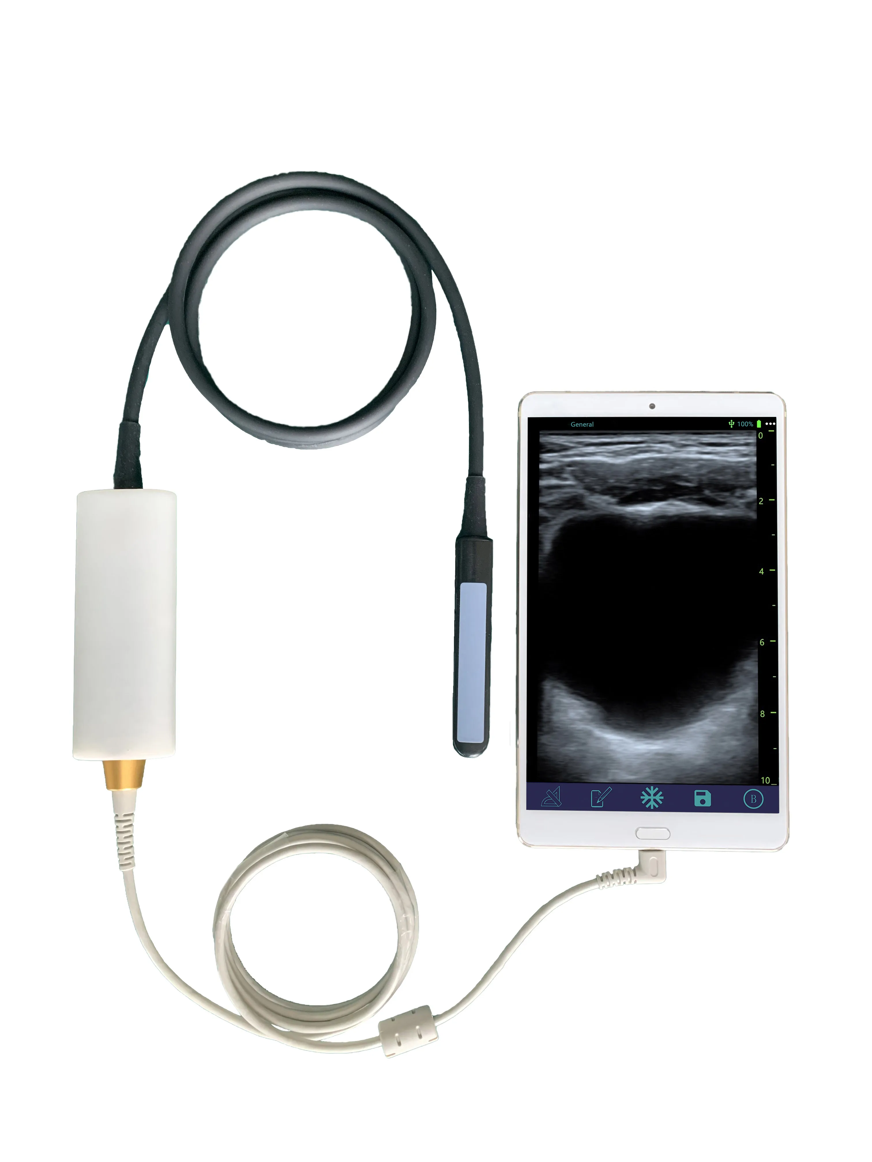 Ультразвуковая машина для прямотального проба крупного рогатого скота линейный прямотальный ветеринарный зонд ветеринарная ультразвуковая с прямотальным зондом