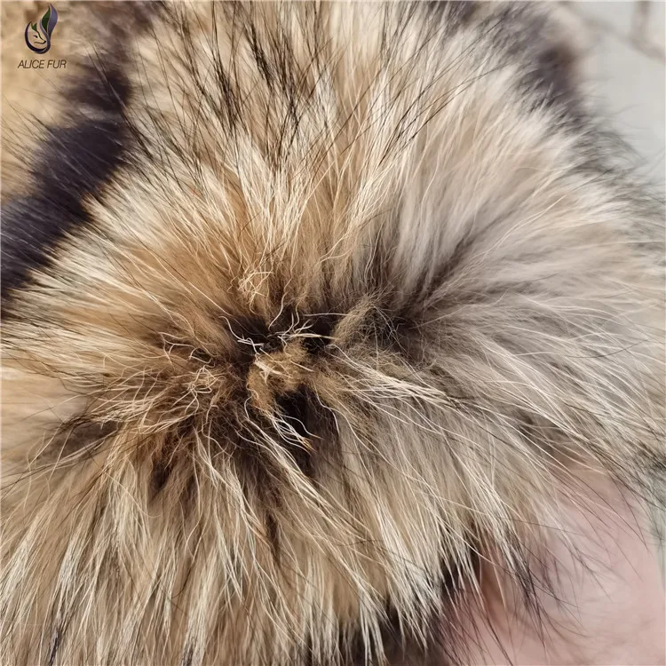 raccoon pelt (1).jpg