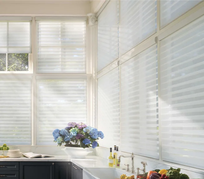 DIY Customized For Indoor Window Home Shades Tuya Zigbee 100% Polyester DC Battery Sheer Roll Up Zebra Shangri-la Blinds