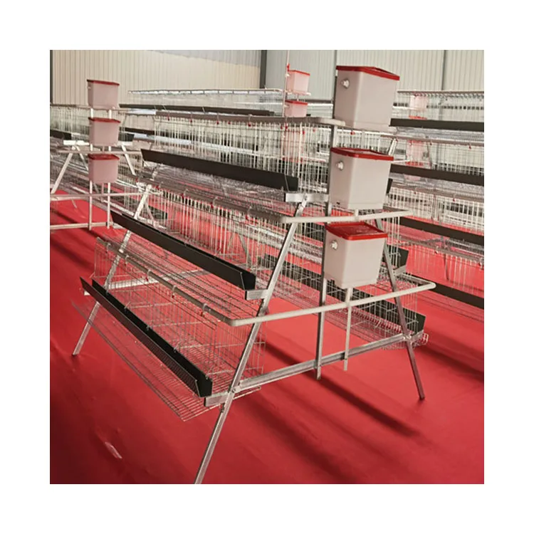 Дизайнерская куриная клетка автоматический слой