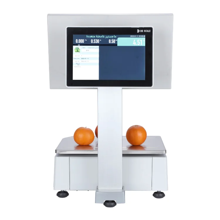 Pos System OIML 15.6 /10.1 pos dual inch touch screen weighing scale cash register pc pos scale for supermarket retail