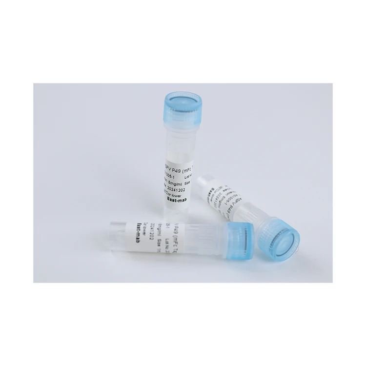 Stable And Durable Nutrition Biological Expression Antigen ASFV p72 His