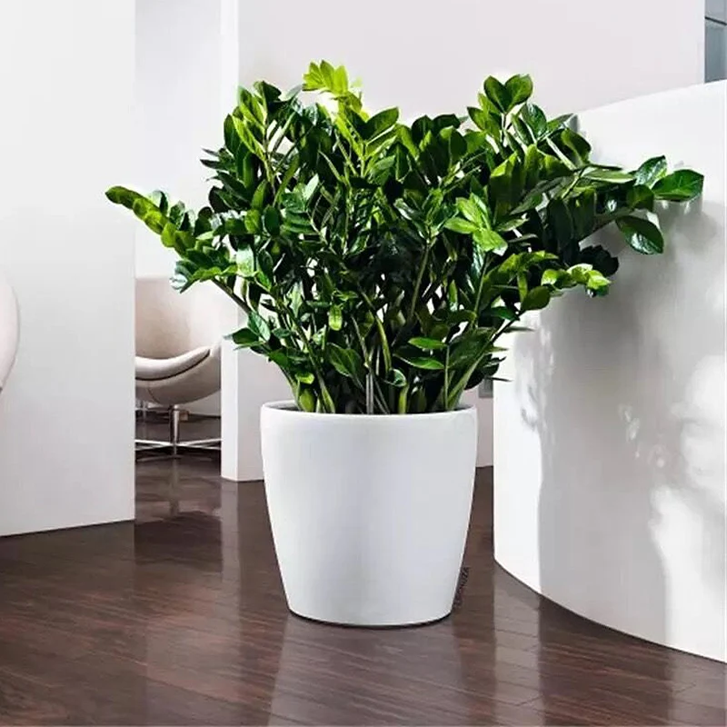 Fancy office desk table indoor self watering plastic pot plant small flower pot glazed orchid herb container